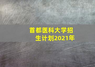 首都医科大学招生计划2021年