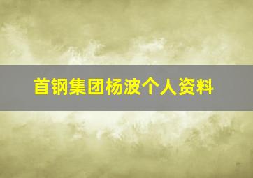 首钢集团杨波个人资料