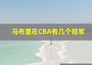 马布里在CBA有几个冠军