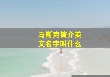 马斯克简介英文名字叫什么