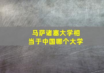 马萨诸塞大学相当于中国哪个大学