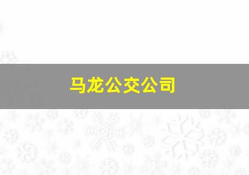 马龙公交公司