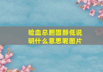 验血总胆固醇低说明什么意思呢图片