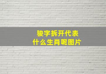 骏字拆开代表什么生肖呢图片