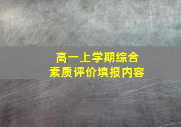 高一上学期综合素质评价填报内容