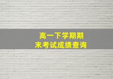 高一下学期期末考试成绩查询