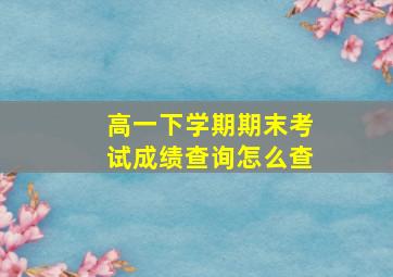 高一下学期期末考试成绩查询怎么查