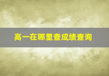 高一在哪里查成绩查询