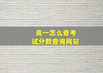 高一怎么查考试分数查询网站