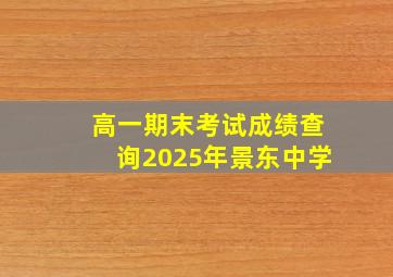 高一期末考试成绩查询2025年景东中学