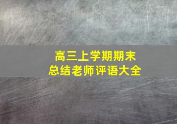 高三上学期期末总结老师评语大全