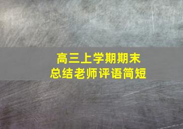 高三上学期期末总结老师评语简短