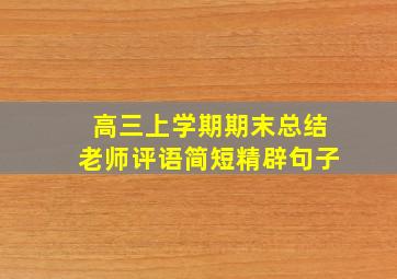 高三上学期期末总结老师评语简短精辟句子