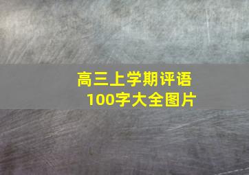 高三上学期评语100字大全图片