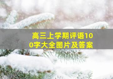 高三上学期评语100字大全图片及答案