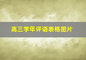 高三学年评语表格图片