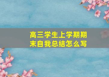 高三学生上学期期末自我总结怎么写