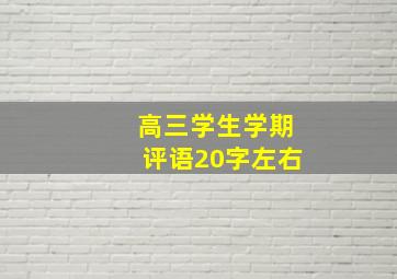 高三学生学期评语20字左右