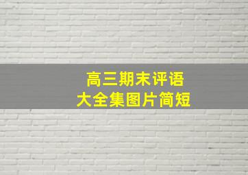 高三期末评语大全集图片简短