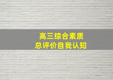 高三综合素质总评价自我认知