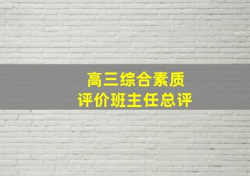 高三综合素质评价班主任总评