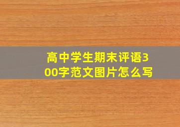 高中学生期末评语300字范文图片怎么写