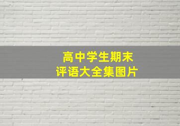 高中学生期末评语大全集图片