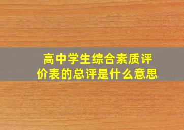 高中学生综合素质评价表的总评是什么意思