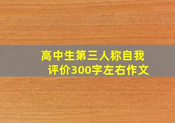 高中生第三人称自我评价300字左右作文