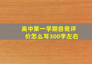 高中第一学期自我评价怎么写300字左右