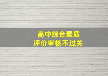 高中综合素质评价审核不过关