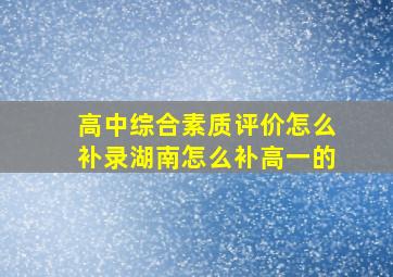 高中综合素质评价怎么补录湖南怎么补高一的