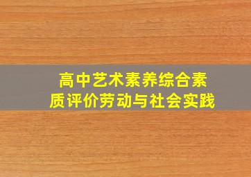 高中艺术素养综合素质评价劳动与社会实践