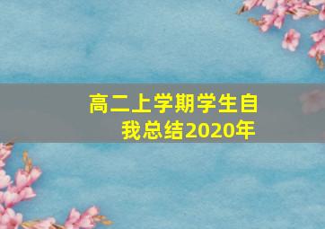 高二上学期学生自我总结2020年