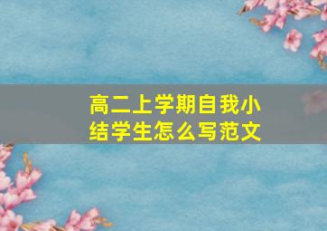 高二上学期自我小结学生怎么写范文