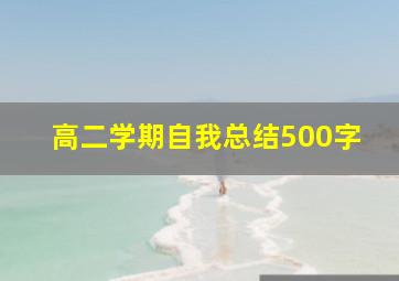 高二学期自我总结500字