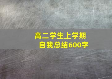 高二学生上学期自我总结600字