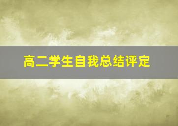 高二学生自我总结评定