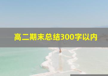 高二期末总结300字以内