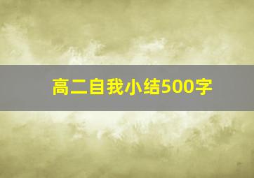 高二自我小结500字