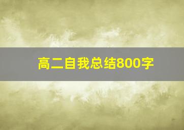 高二自我总结800字