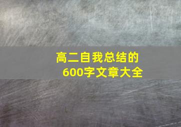 高二自我总结的600字文章大全