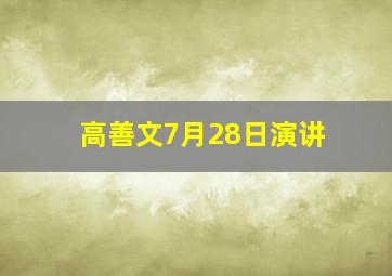 高善文7月28日演讲