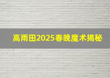 高雨田2025春晚魔术揭秘