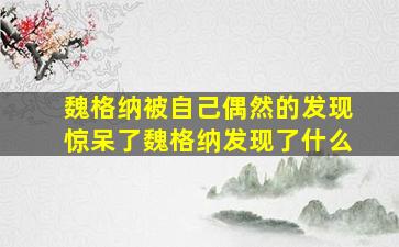 魏格纳被自己偶然的发现惊呆了魏格纳发现了什么