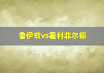 鲁伊兹vs霍利菲尔德