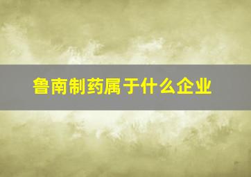 鲁南制药属于什么企业