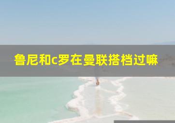 鲁尼和c罗在曼联搭档过嘛