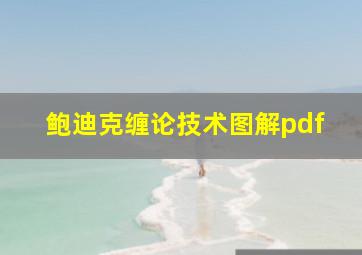 鲍迪克缠论技术图解pdf