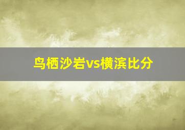 鸟栖沙岩vs横滨比分